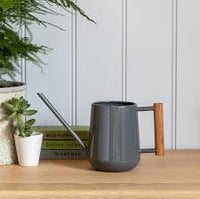 Burgon & Ball Indoor Watering Can (charcoal)